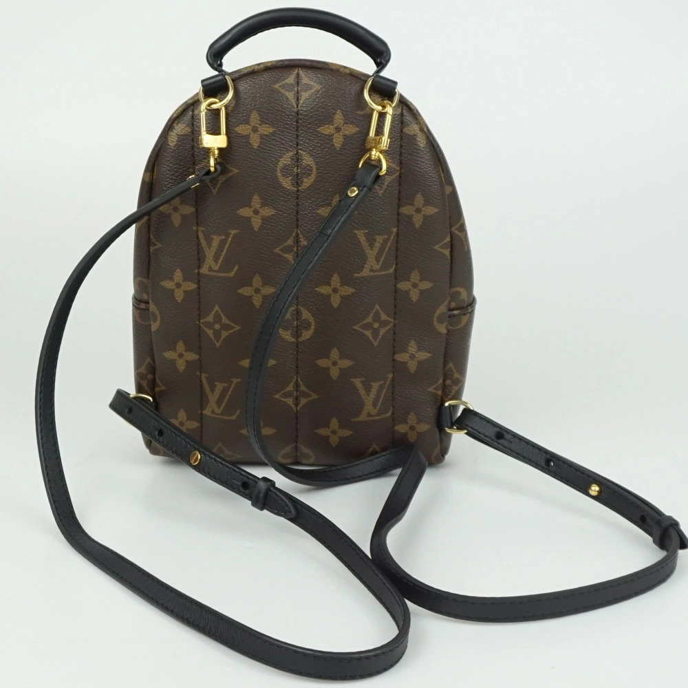 LOUIS VUITTON Palm Springs Backpack Monogram Canvas Brown